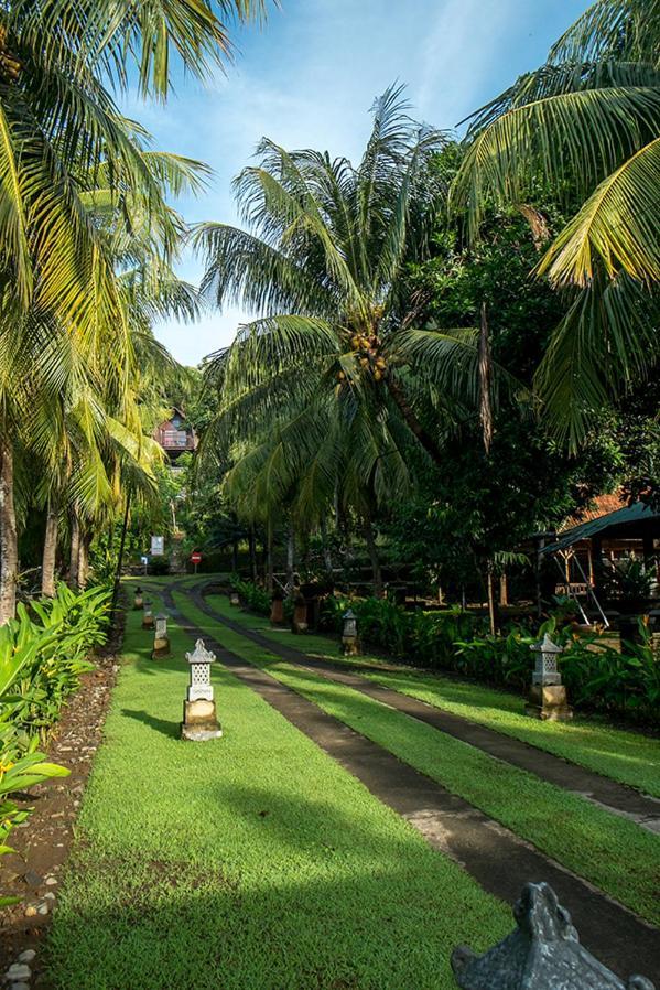 Bella Vista Premium Homestay Banyuwangi  Luaran gambar